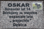 Cmentarz dla zwierząt GRANICA
